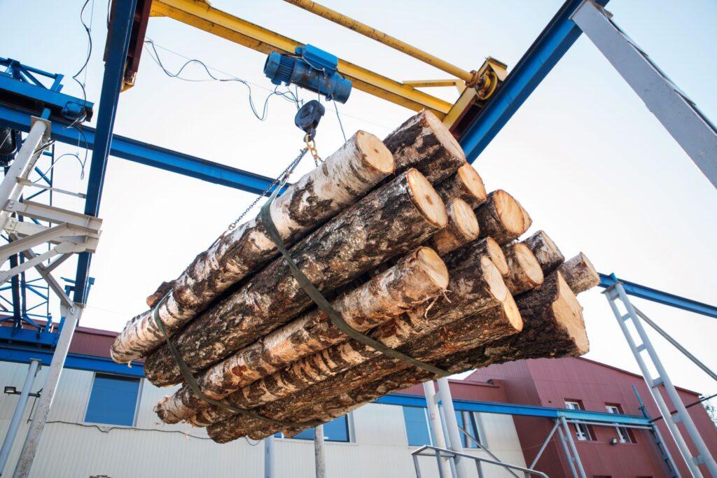 Holzstämme werden mit Elektroseilwinde angehoben.