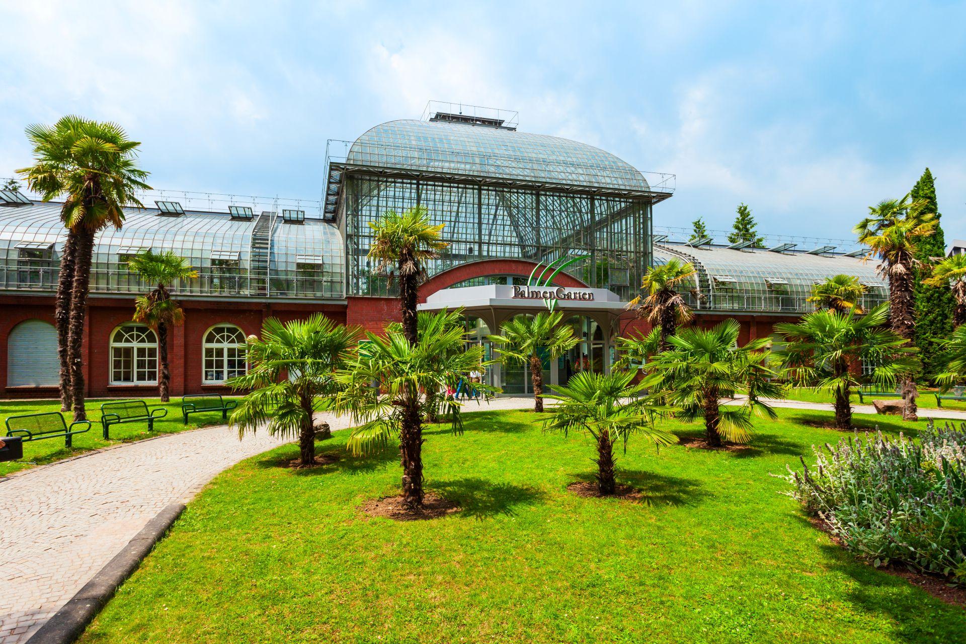 Eingang zum Palmengarten Frankfurt mit Palmen, Gruenflaeche und historischem Glasgewaechshaus
